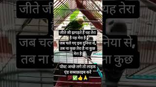 #motivation #like #shortclip #trending #
