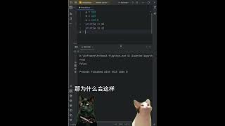 【1分钟学python】==和is的区别  #pythonprogramming #python  #编程 #freecodecamp #猫meme   @shadyYYDS