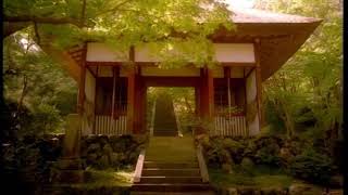 【TVCM】2007年 初秋「嵯峨野・嵐山」そうだ 京都、行こう。