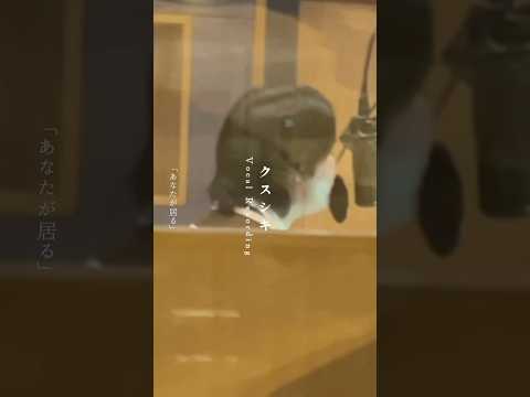 ◆◇❖ #クスシキ Vocal Recording BTS ❖◇◆ #MrsGREENAPPLE #Kusushiki #大森元貴
