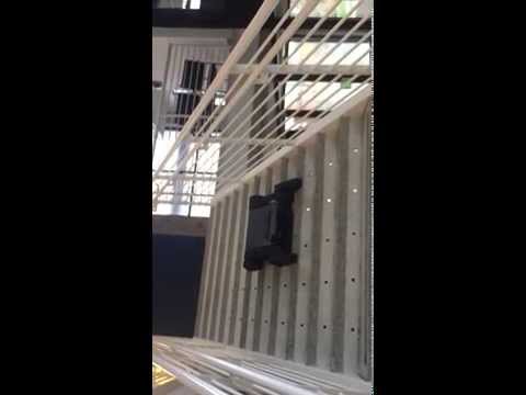 Jaguar Climbing Stairs (Test 1)