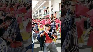 【祭屋よさこい踊り子隊】㊗️審査員特別賞💐 #高知よさこい2024 #よさこい #yosakoi #よさこい祭り