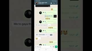 Pakistan Prime Minister audio recording.  hacker