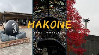 Autumn Escape to Hakone: Gora & Owakudani in 1 Day 🍂