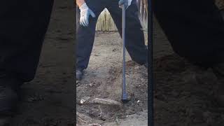 Easy Tree Stump Removal, No major tools required!