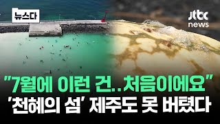 "7월에 이런 건 처음이에요"…'천혜의 섬' 제주도 못 버텼다 #뉴스다 / JTBC News