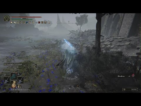 30 min farming and being invaded