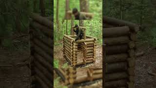 woods challengebuilding luxury house in forest#HouseInForest #TreeHouse #JungleLife #SurvivalCraft