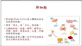自體脂肪幹細胞治療執行經驗分享_戴念梓講師