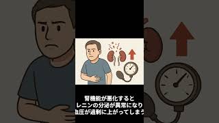 腎臓が悪いとなぜ高血圧になりやすいのか？ #shorts