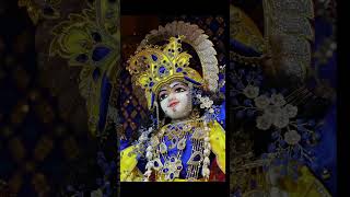 Krishna love#ytshorts#youtubeshorts