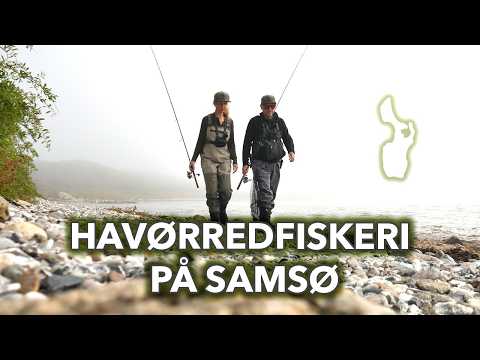 Havørred og lystfiskeri På Samsø - Fisketur til Samsø året rundt?