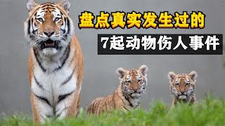 真实发生过的7起野兽伤人视频，完达山1号一巴掌拍碎钢化玻璃