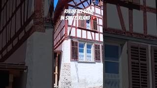 Full tour on my channel #lifeineurope #studyingingermany #switzerland #indianinswitzerland