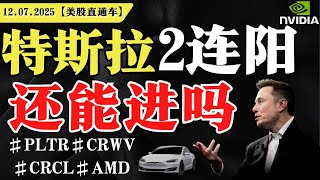 美股集体收跌，关税再掀波澜，危机临近？特斯拉2连阳，还能进吗？英伟达冲高回落，调整开始？【美股直通车】2025.07.12 #sam谈美股 #美股分析 #tsla #nvda #特斯拉 #英伟达
