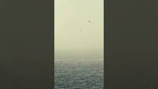 #music #travel #heavyrainandthundersoundsforsleeping #musiclyrics #rainandthundersoundsforsleeping