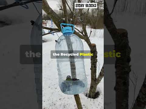 DIY Birdhouse! #diy #hack #birdhouses