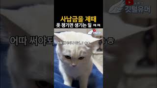어휴ㅜ 나으리.. 이것만은 안됩니다요..!