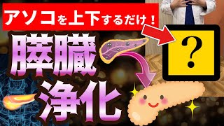 【膵臓ぴちぴち】●●●の上下運動だけで膵臓が超回復！膵臓を元気にするたった2つのこと！【すい臓｜ガン｜悪性新生物｜糖尿病｜慢性膵炎｜原因】