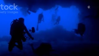 Let’s learn Deep Ocean Life