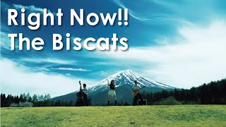 【MV】The Biscats 「Right Now!!」