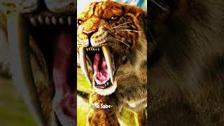3 awesome extinct animals!