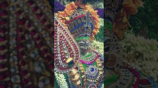 #muruga #arogara #divineindia #tamilnadu