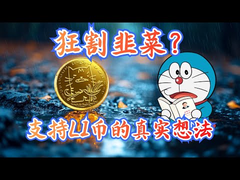 自我辟谣：搞$LI币是为了诈骗？为什么我会支持$LI李币和李老师？我对$LI李币的愿景是什么？