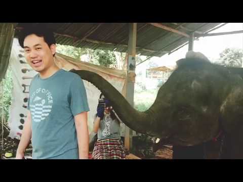 Elephant Microbiome Research - University of Arkansas For Medical Sciences