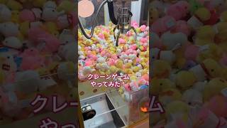 ひよこのクレーンゲームやってみた！　　#ひよこ　#クレーンゲーム　#UFOキャッチャー　#かわいい　#クレゲ　#ミニクレーンゲーム