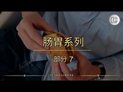 肠胃丨肠胃系列丨部分 7丨吃健康的脂肪丨学会释放压力丨这么吃，快速改善消化问题丨JC WELLNESS