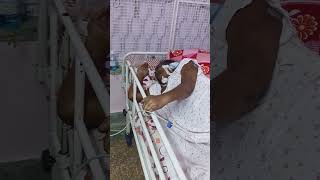 icu at home
