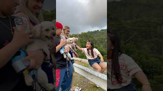So Cute!🥰 #alyonabaquial #foryou #funny #cute #puppy #pets #love #iloveyou #shorts #shortsfeed #fyp