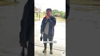 檳榔樹會影響水土保持嗎？