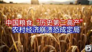 【Boss時政經濟】中国粮食“历史第二高产”，农村经济崩溃恐成定局