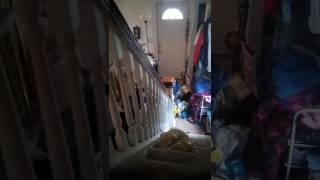 My April Fool's prank!