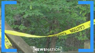 Manhunt underway in Arkansas after couple killed in state park | NewsNation Now