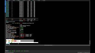 vPC VXLAN EVPN - Part 1 - vPC Setup