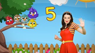 Daisy Dot - FIVE LITTLE BIRDS 🐦🐦🐦🐦🐦