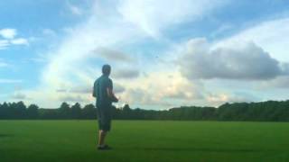 Art tech/hobby king mosquito nice landing!