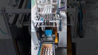 Drop type case packer for bottles Beverage industry packing machine #casepacker#Droptypecasepacker