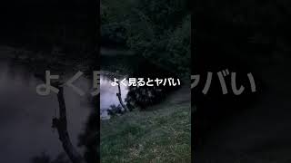 夜の野池はガチで気を付けましょう、、、 #釣り #つり #バス釣り #バス #short#shorts