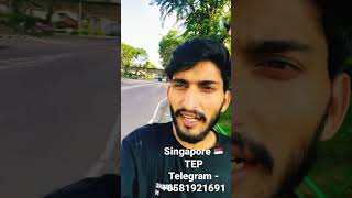 Tep telegram +6581921691 #shorts #singapore #studyvisa #students #studentlife #workpermit #work