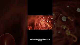 血球的主要類型有哪些？ #shorts