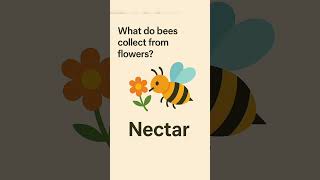 #gkquestionsandanswersforkids #sciencequestionsandanswers #ytshorts #english #shortsfeed