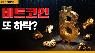 비트코인 미국발 악재? 앞으로의 방향은?#칠리즈#플레이댑 #이더리움#이더리움클래식 #비트코인#플로우#어거 #던프로토콜 #리플 #에이다 #엔진코인# #메디블록 #메타디움