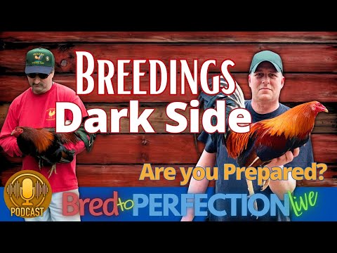 Ep146 - The Dark Side of Breeding: Essential Insights for New Breeders