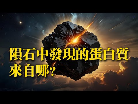 隕石中發現的蛋白質　來自哪？