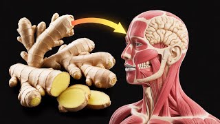 What Happens To Your Body When You Eat Ginger Everyday