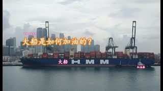 油价这么便宜，多加点，商船是如何加油的？How To Refuel The Ship？